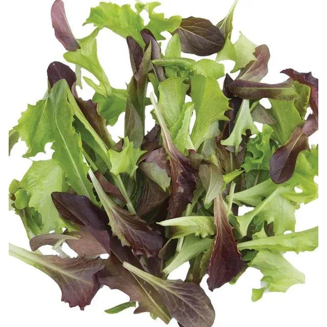 West Coast Seeds - Vegetable Seeds - Fast &amp; Furious Blend Organic 500 Seeds