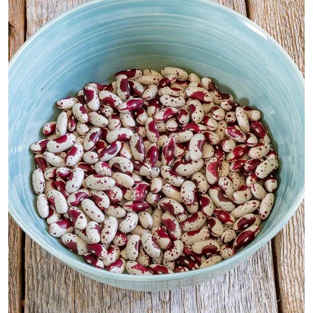 West Coast Seeds - Jacob's Cattle Bean - Organic 15g