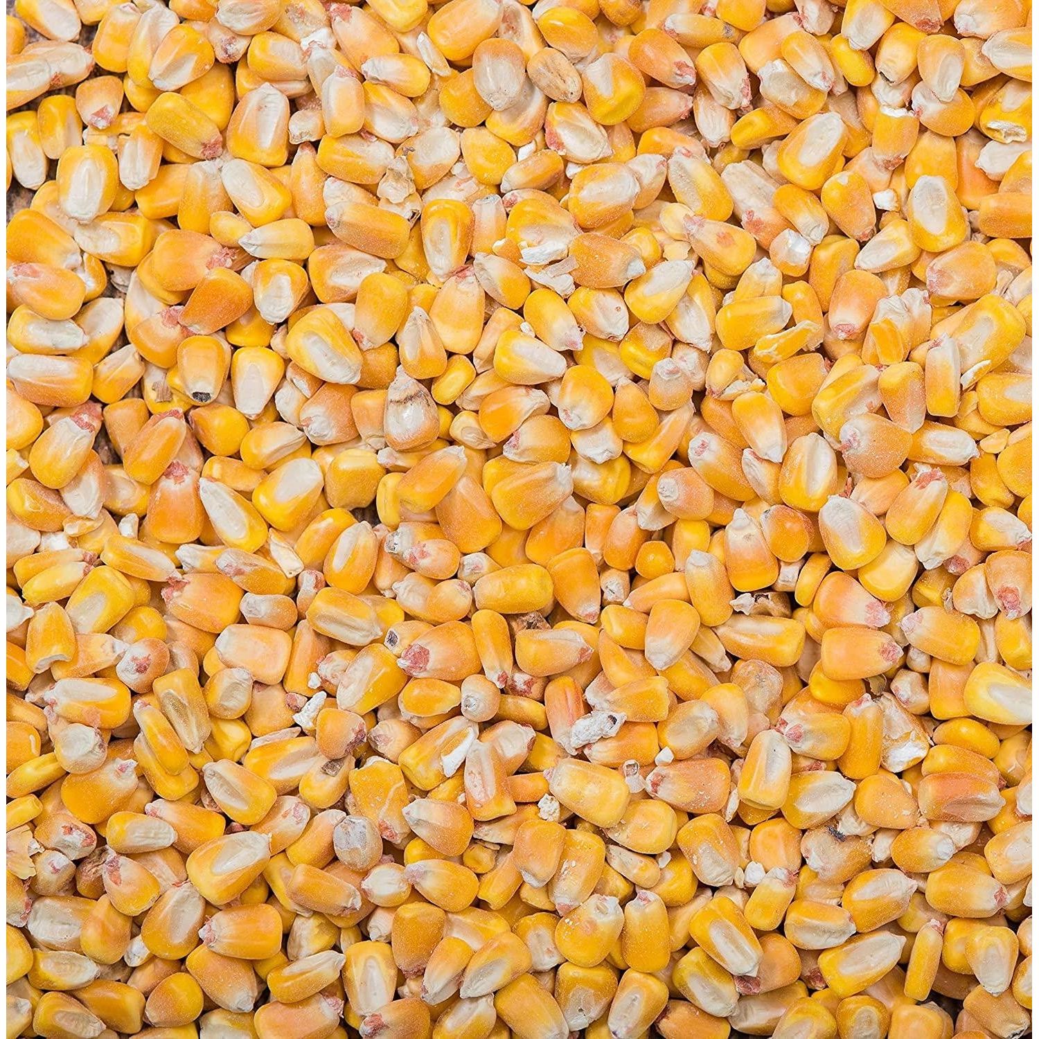 Whole Corn - 20KG