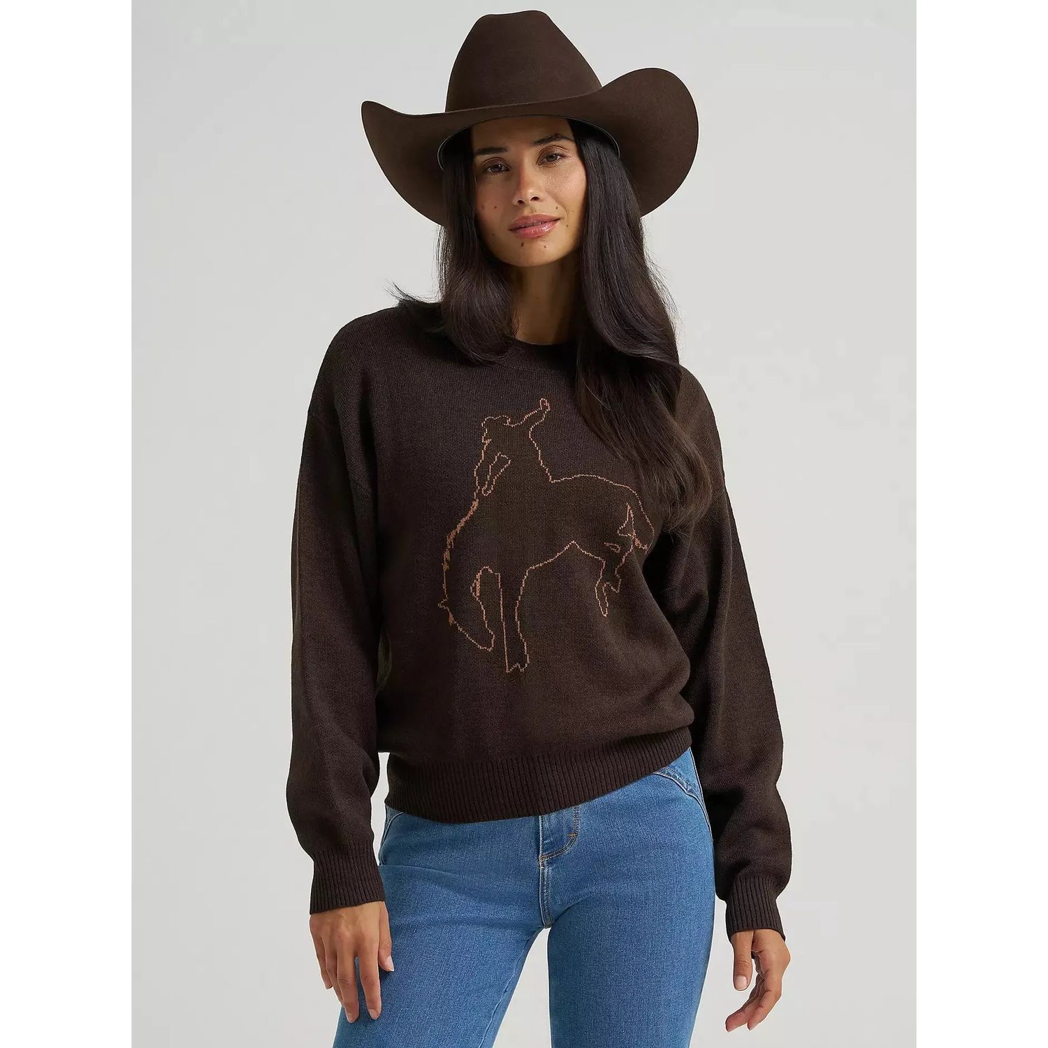 Wrangler Women's Long Sleeve Canyon Horse Sweater - Brown