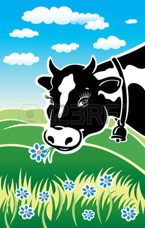 Milk Powder