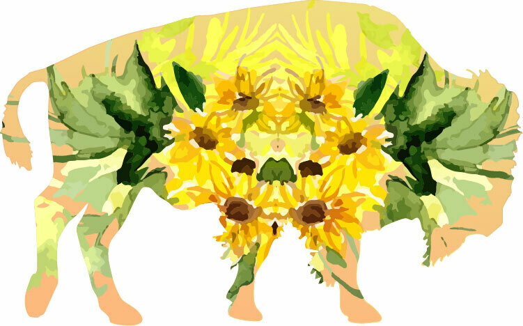 Wyo Sticker - Buffalo Floral4 (6in X 4in)