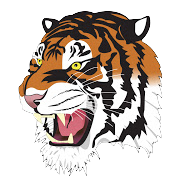 Rock Springs High School