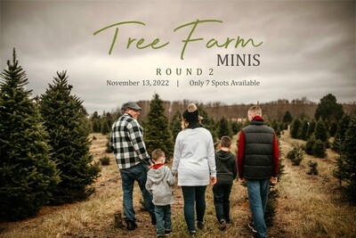 Tree Farm Minis - Round 2 **DEPOSIT ONLY**