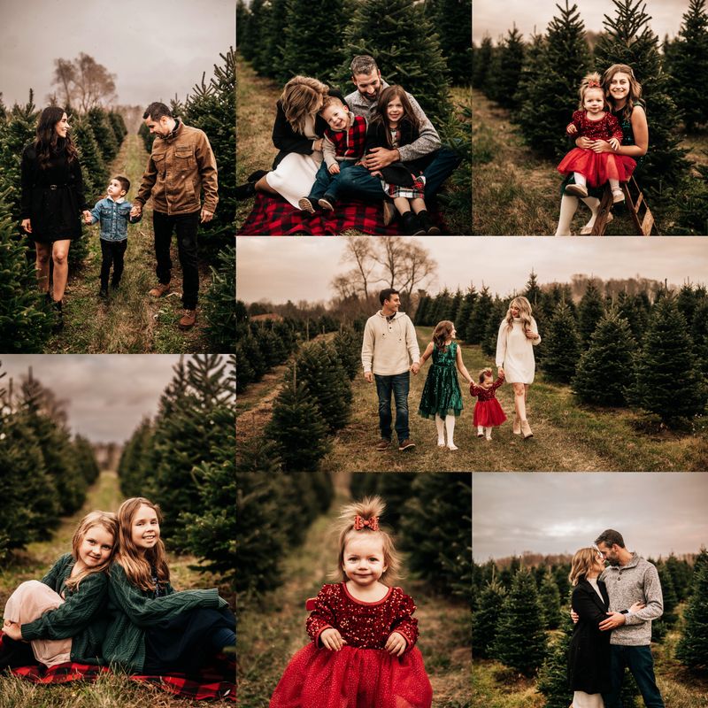Tree Farm Minis 2025 **DEPOSIT ONLY**