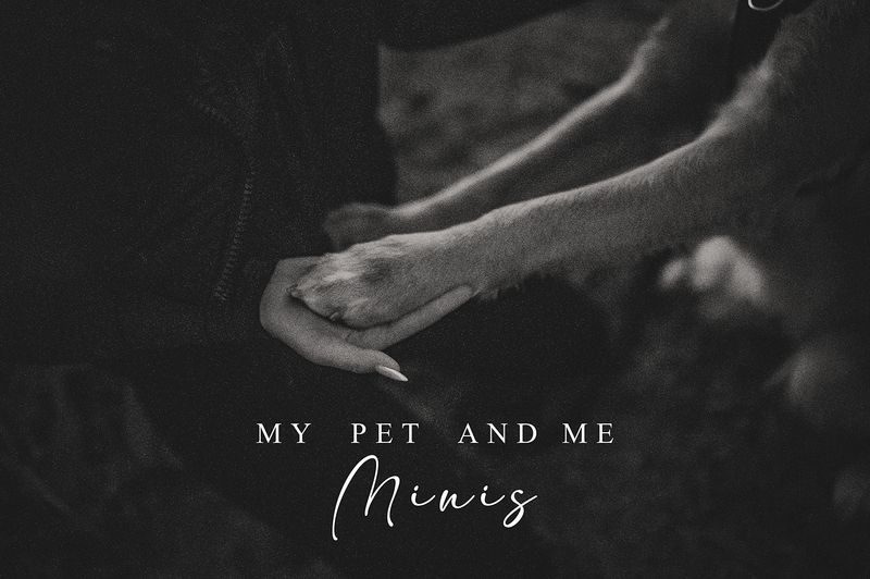My Pet &amp; Me Minis [Deposit Only}