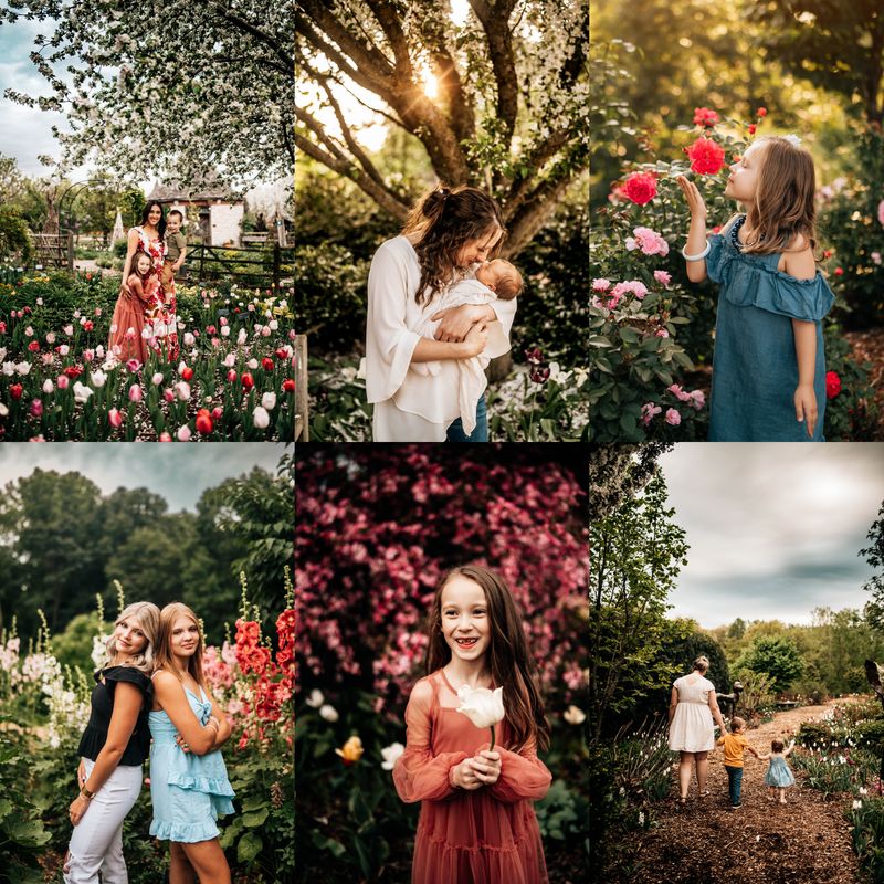 Botanical Gardens Minis [DEPOSIT ONLY]