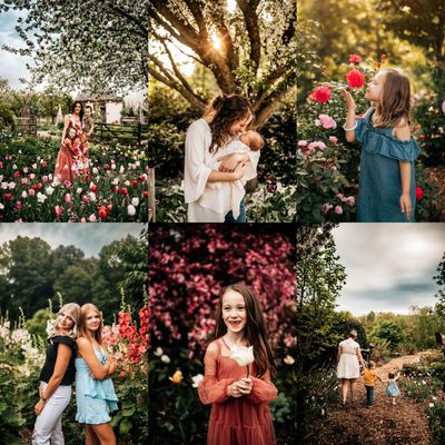 Botanical Gardens Minis [DEPOSIT ONLY]