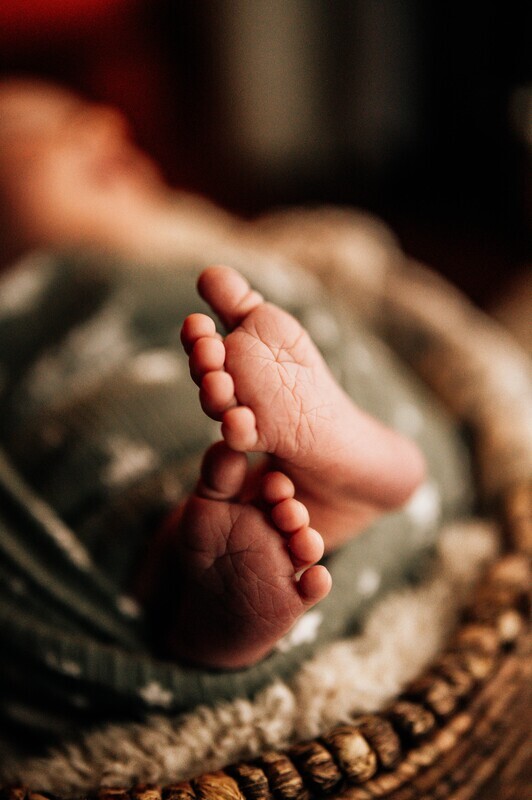 Full Newborn Session *Summer Special*