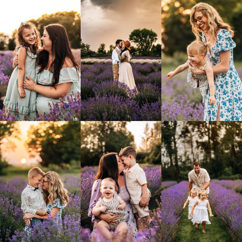 ​Lavender Farm Mini [DEPOSIT ONLY]