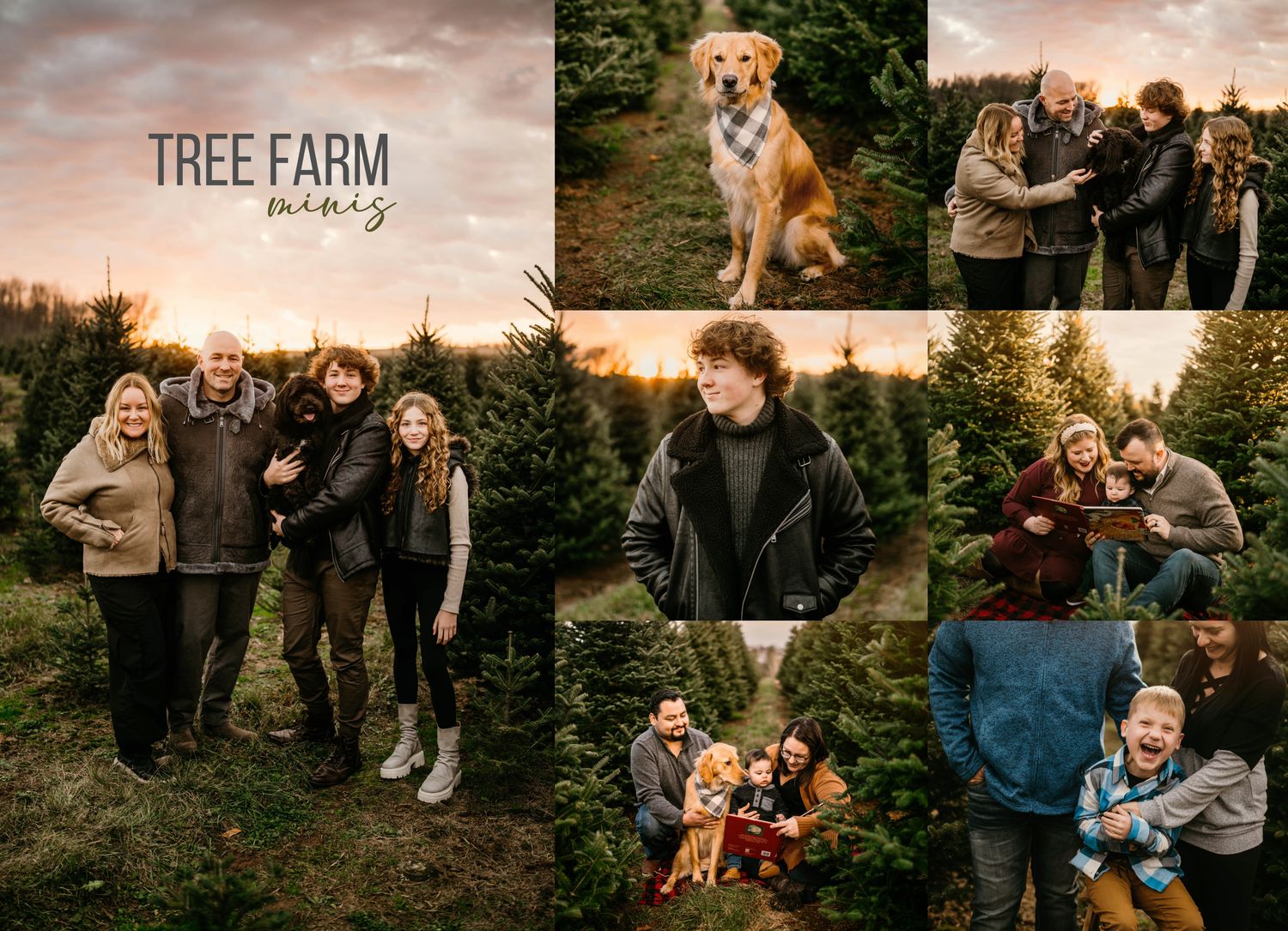 Tree Farm Minis 2026 **DEPOSIT ONLY**
