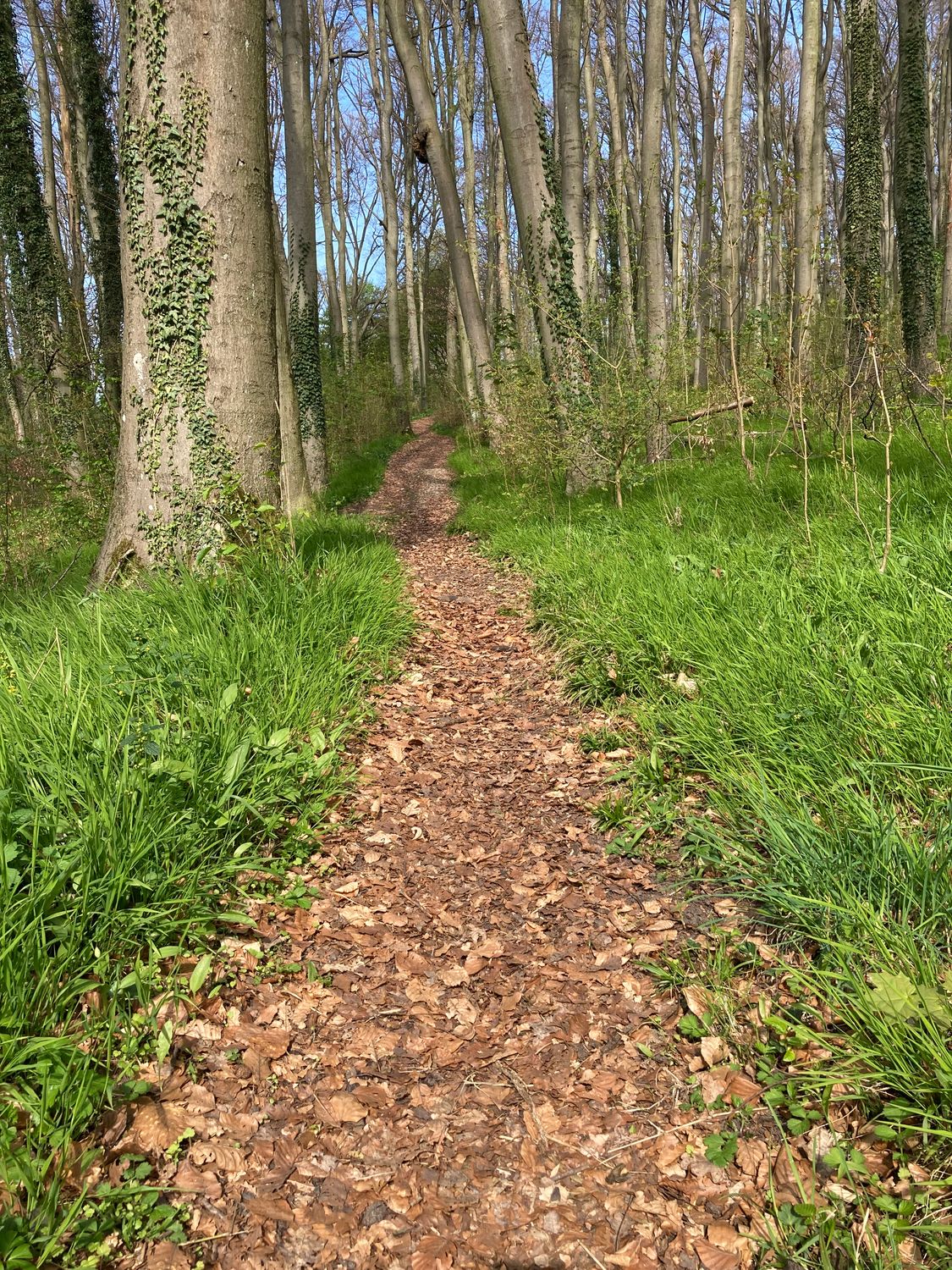 Erstgespräch - Der gemeinsame Weg