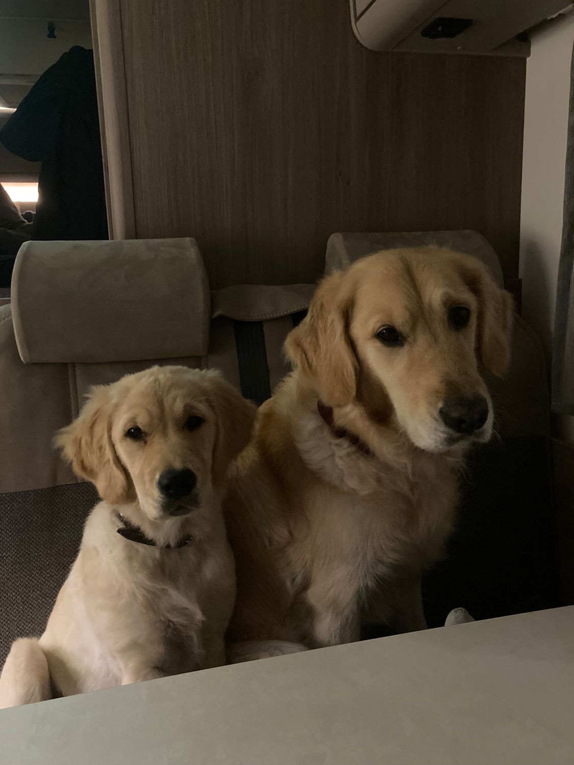 Tandem- &amp; Gruppentraining I inkl. Anfahrtskosten