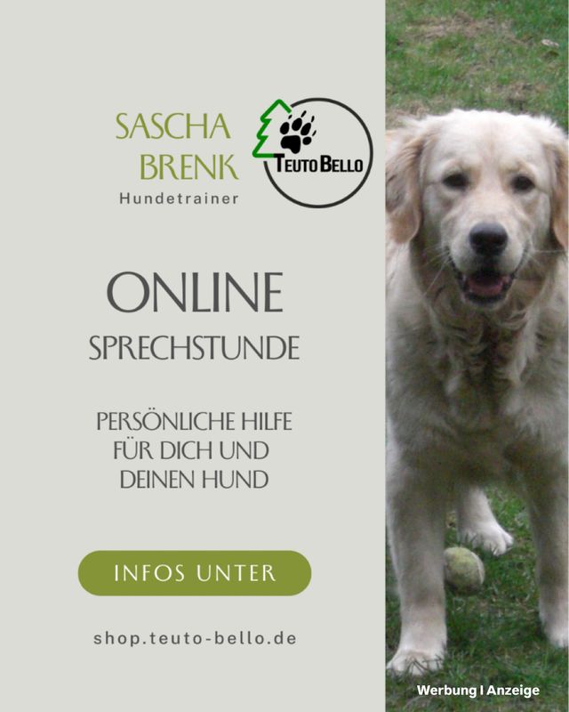 Beratung (Onlinesprechstunde)