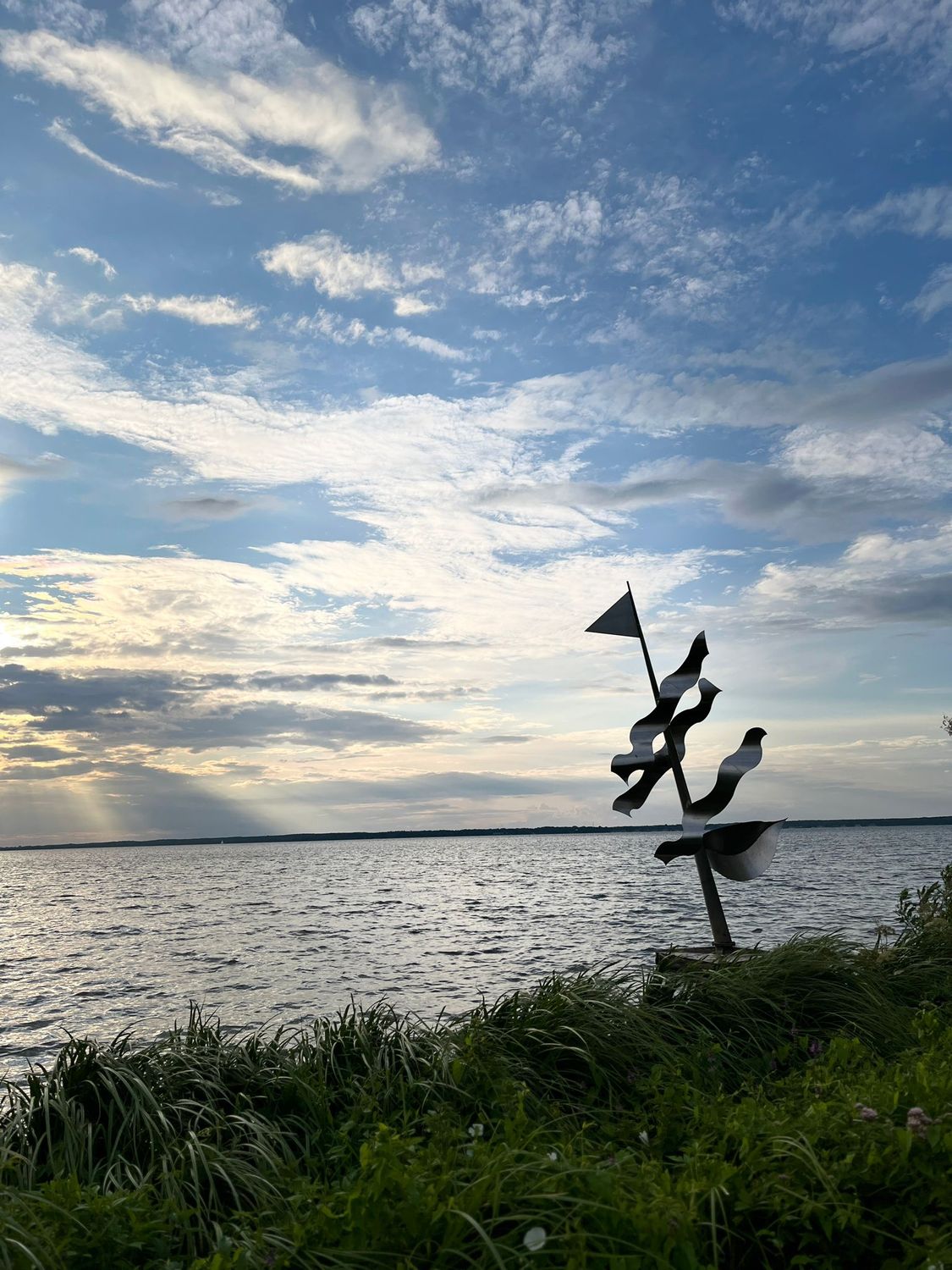 Social Walk I 08.02.26 I ab 10 Uhr I Start Patthorst- Der Lernspaziergang mit Training I inkl. Anfahrtskosten