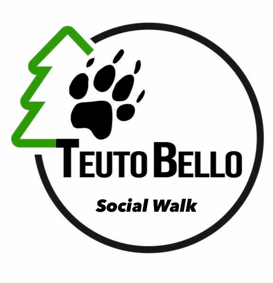 Social Walk I 19.04.26 I 11:00 Uhr I Start Bielefeld Johannisberg - Der Lernspaziergang mit Training