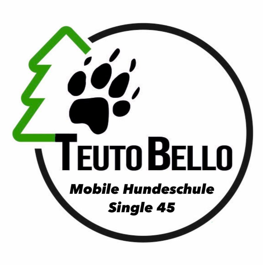 Mobile Hundeschule - Single 45 Minuten I zzgl. Anfahrtskosten