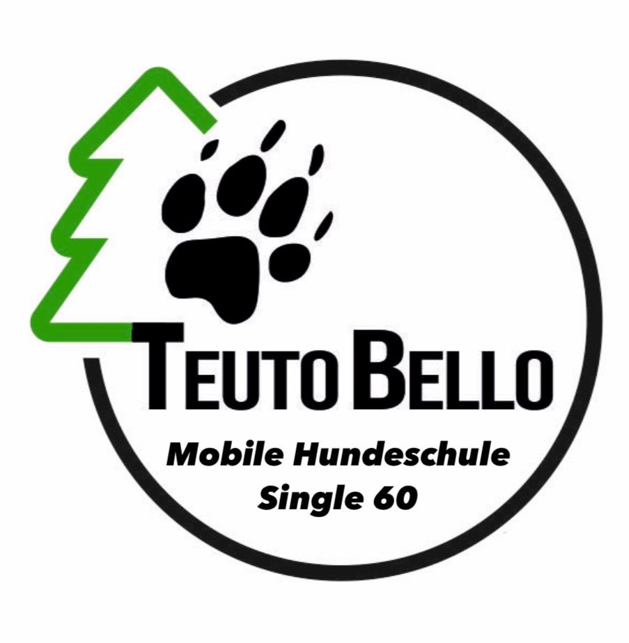 Mobile Hundeschule - Single 60 Minuten I zzgl. Anfahrtskosten