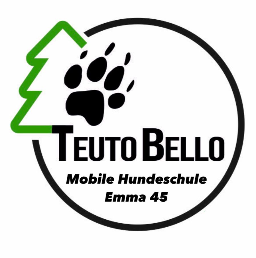 Trainingspaket Emma 45 (3x 45 Minuten) I zzgl. Anfahrtskosten