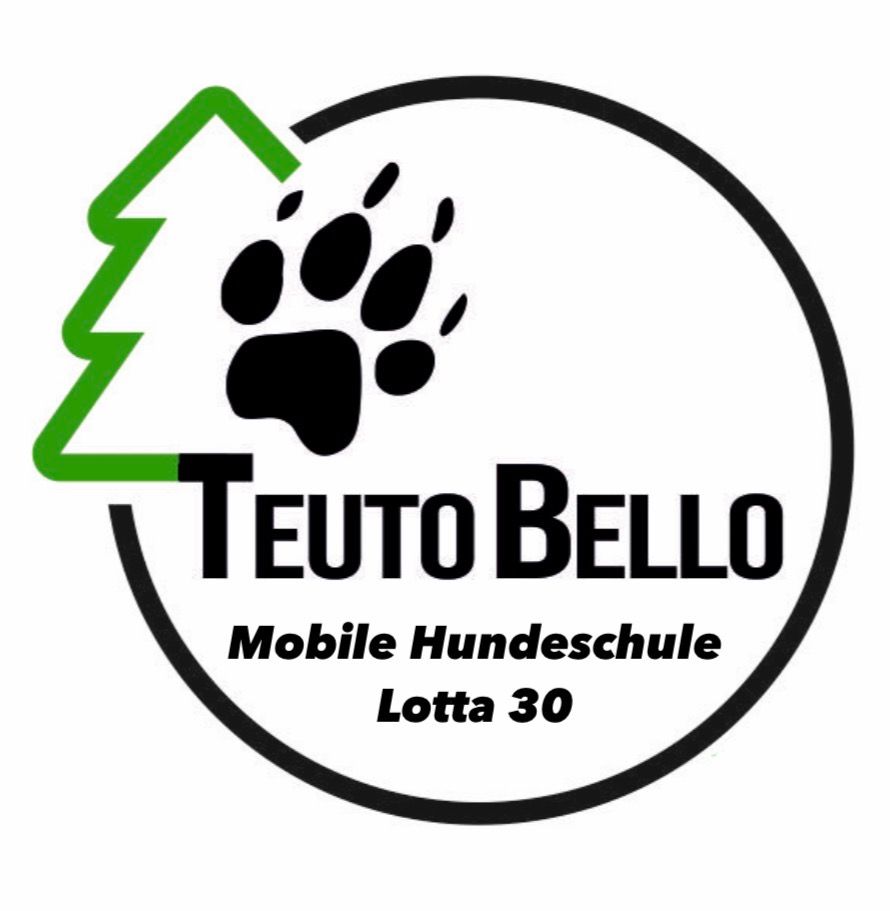 Trainingspaket Lotta 30 (5x 30 Minuten) I zzgl. Anfahrtskosten