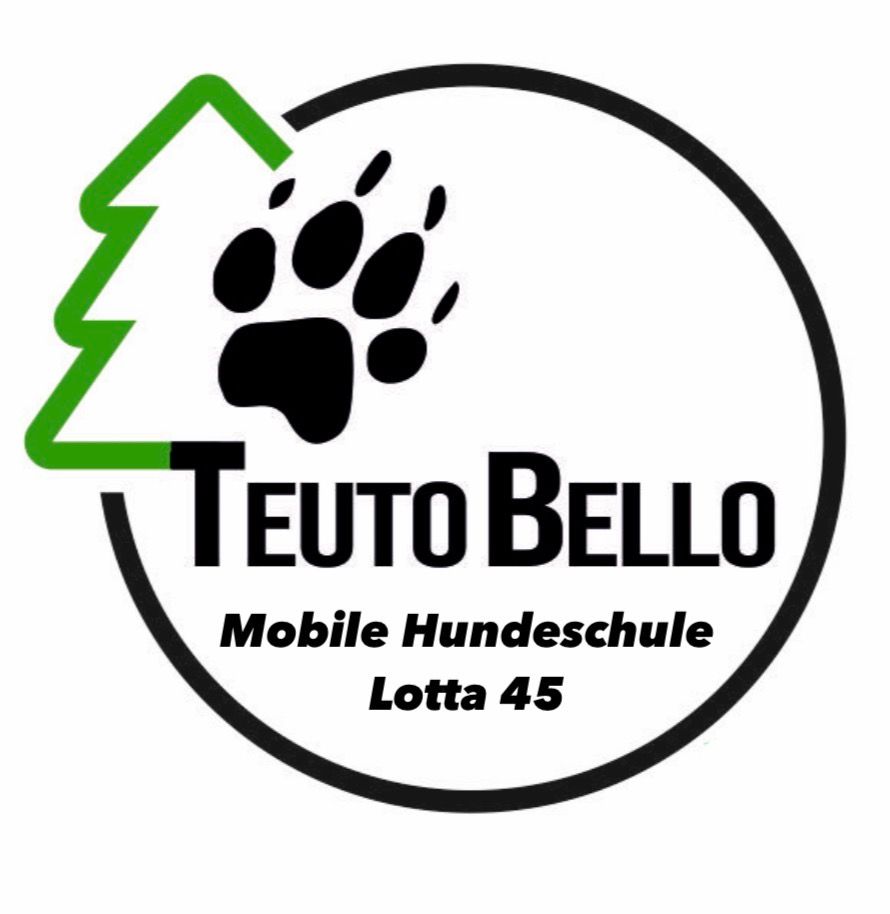 Trainingspaket Lotta 45 (5x 45 Minuten) I zzgl. Anfahrtskosten