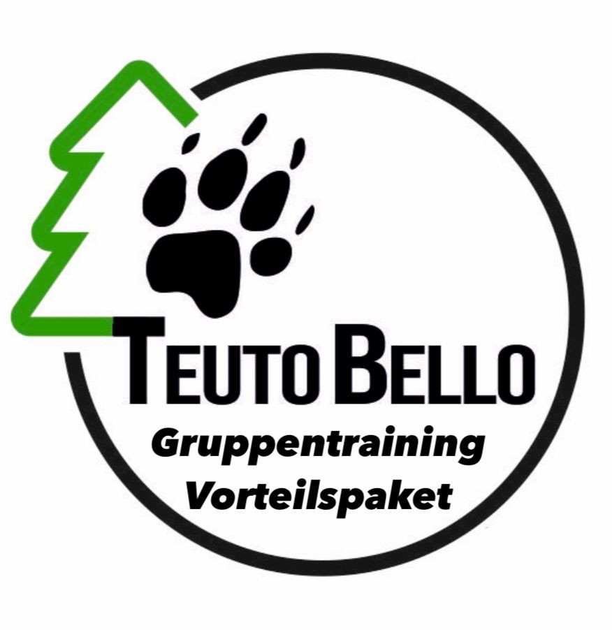 Gruppentraining „Vorteilspaket“ inkl. Anfahrtskosten