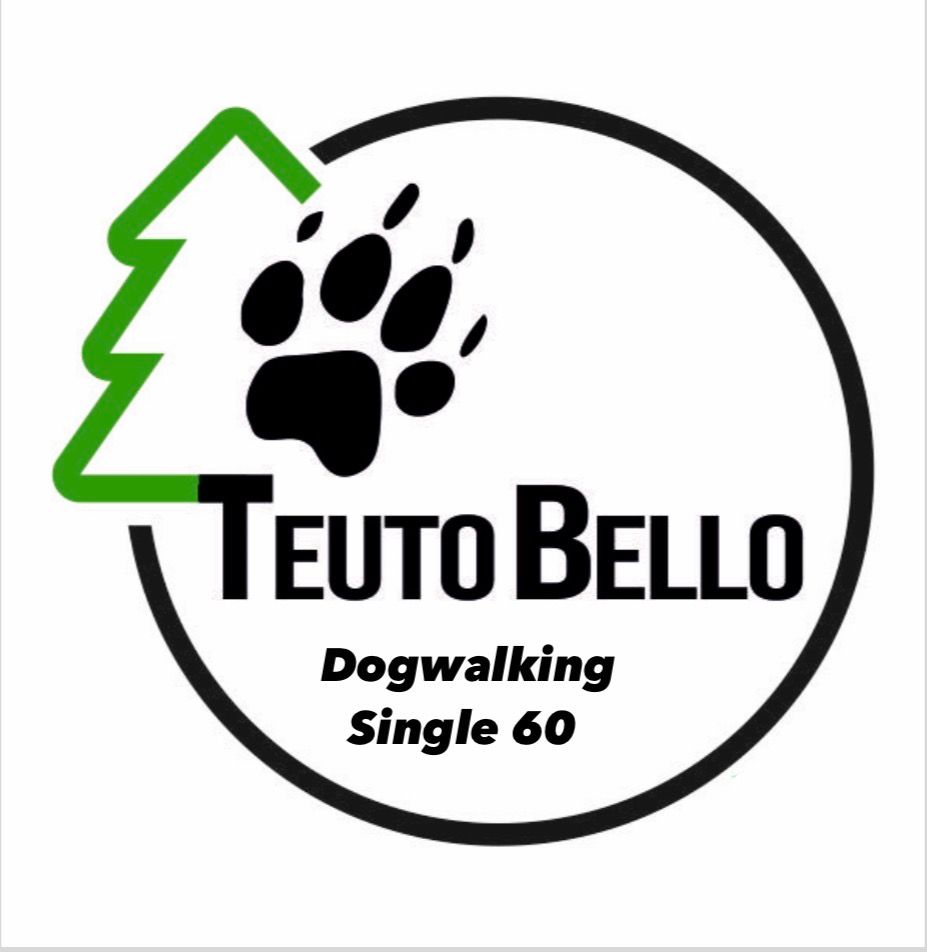 Dogwalking Single 60 I zzgl. Anfahrtskosten