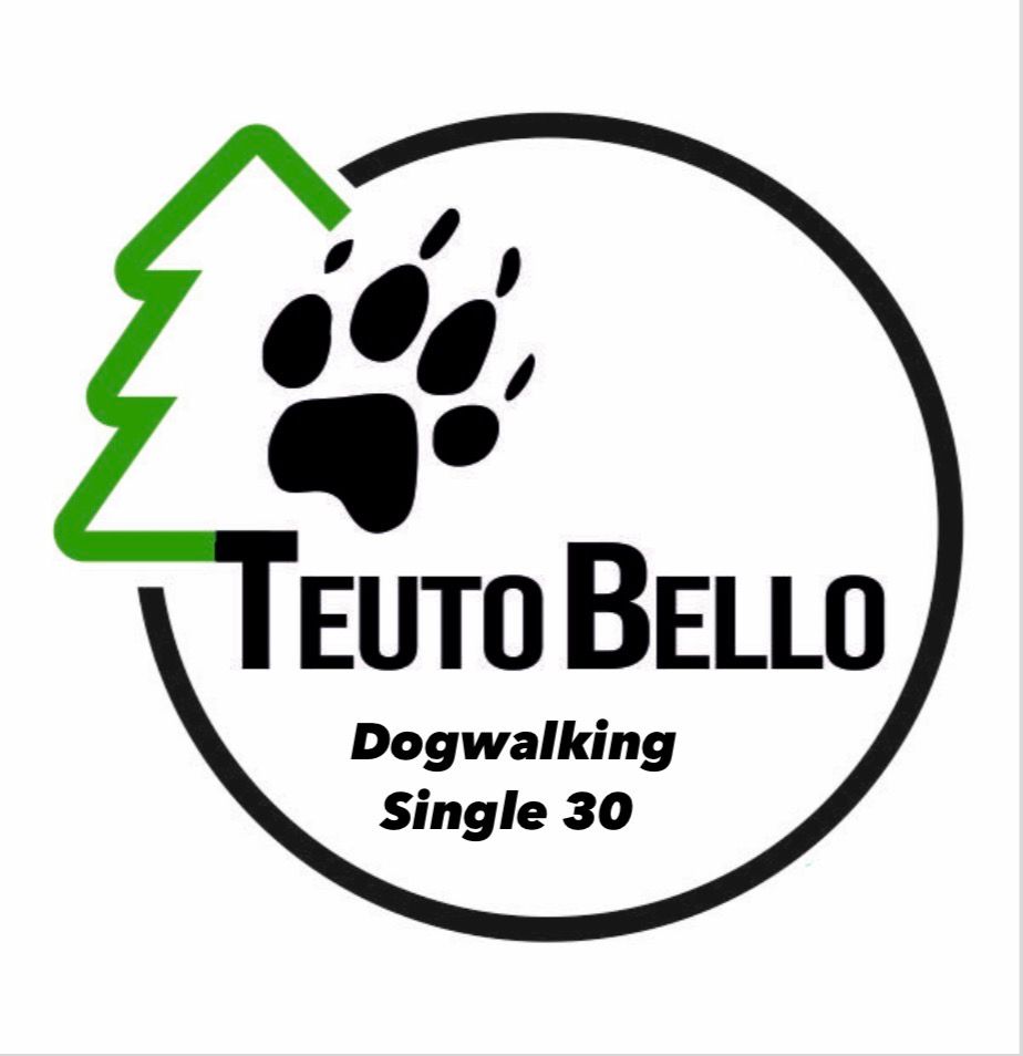 Dogwalking Single 30 I zzgl. Anfahrtkosten