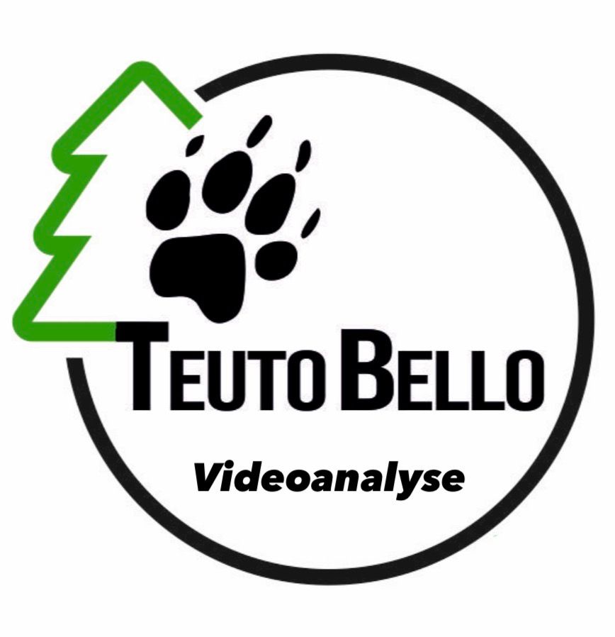 Videoanalyse Hundeverhalten