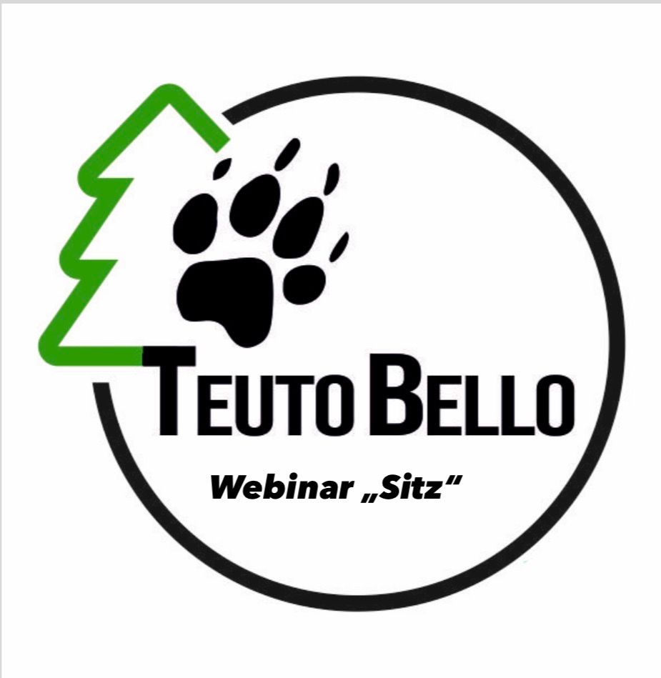 Dein Hund kann „Sitz“ - aber bleibt er auch wirklich sitzen?