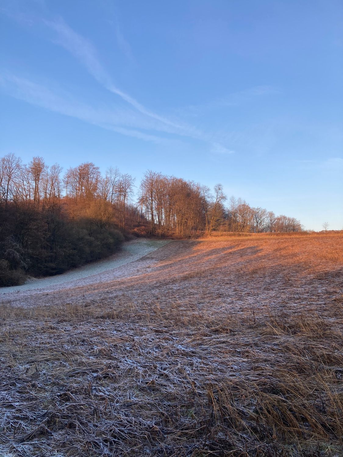 Schatzsuche mit Hund am 01.03.2026 11:00 Uhr I Ort: Steinhagen