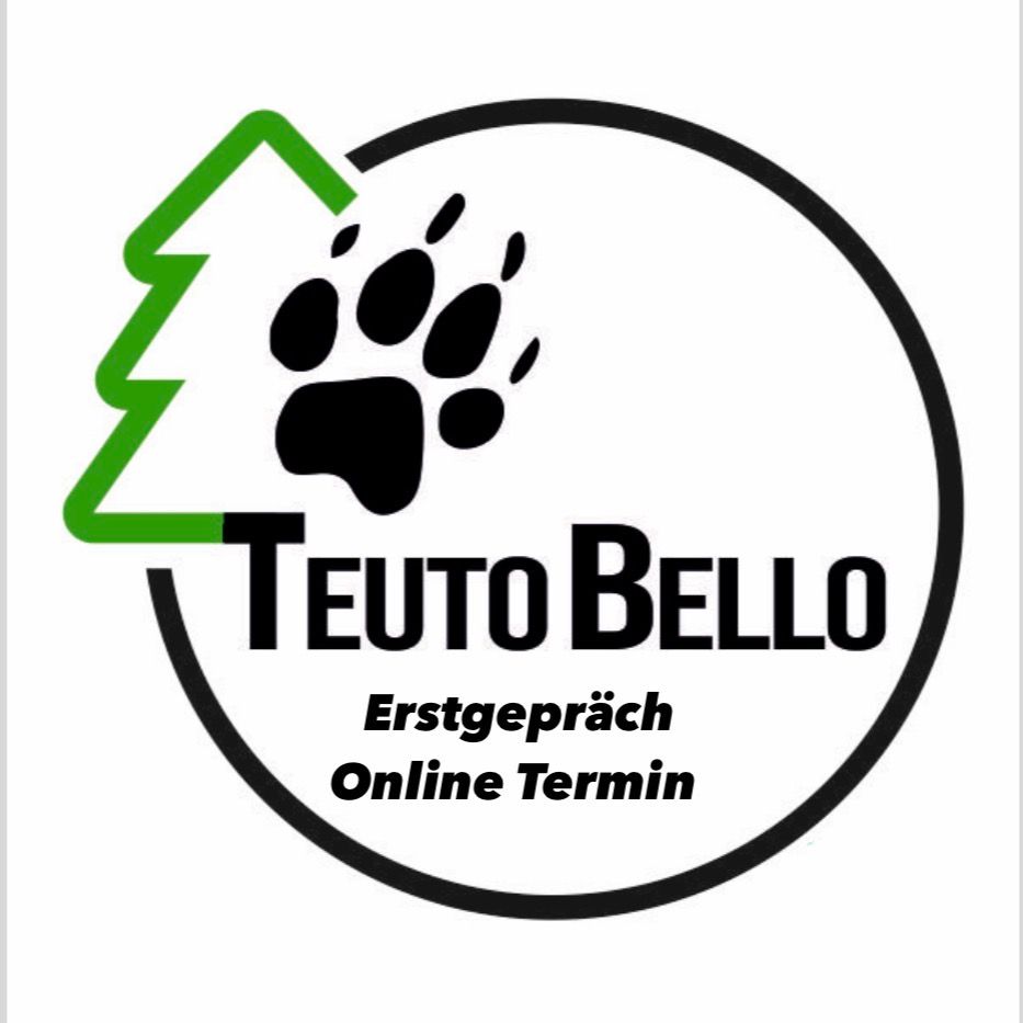 Erstgepräch  Der gemeinsame Weg  Online Termin
