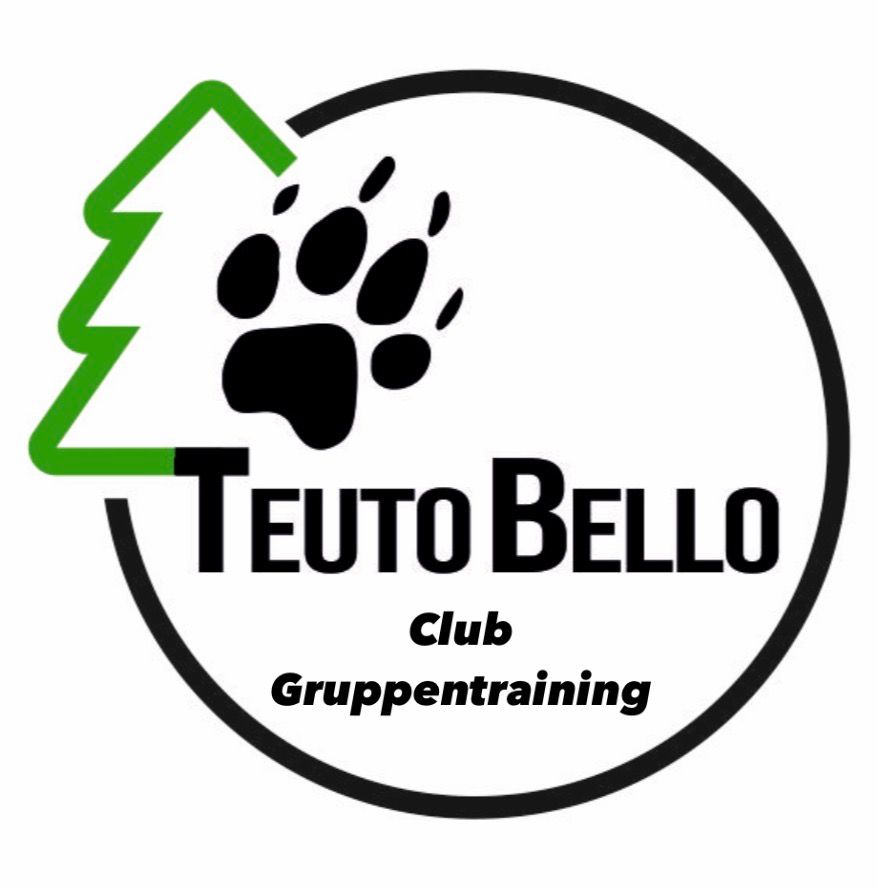 Club Gruppentraining  01.03. - 31.05.2026 (3 Monate)