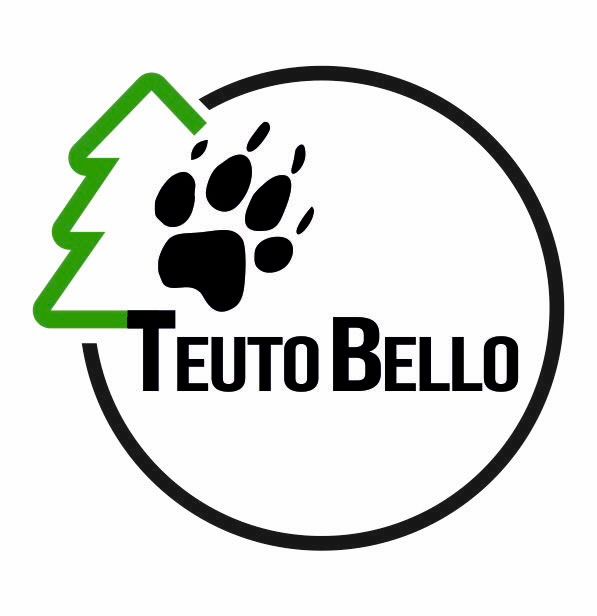 Online Sprechstunde 60 Minuten - Persönliche Hilfe für Dich und Deinen Hund