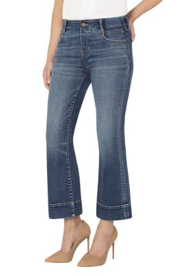 Lp7a28ch1 Amana Petite Denim Jean - Size 2