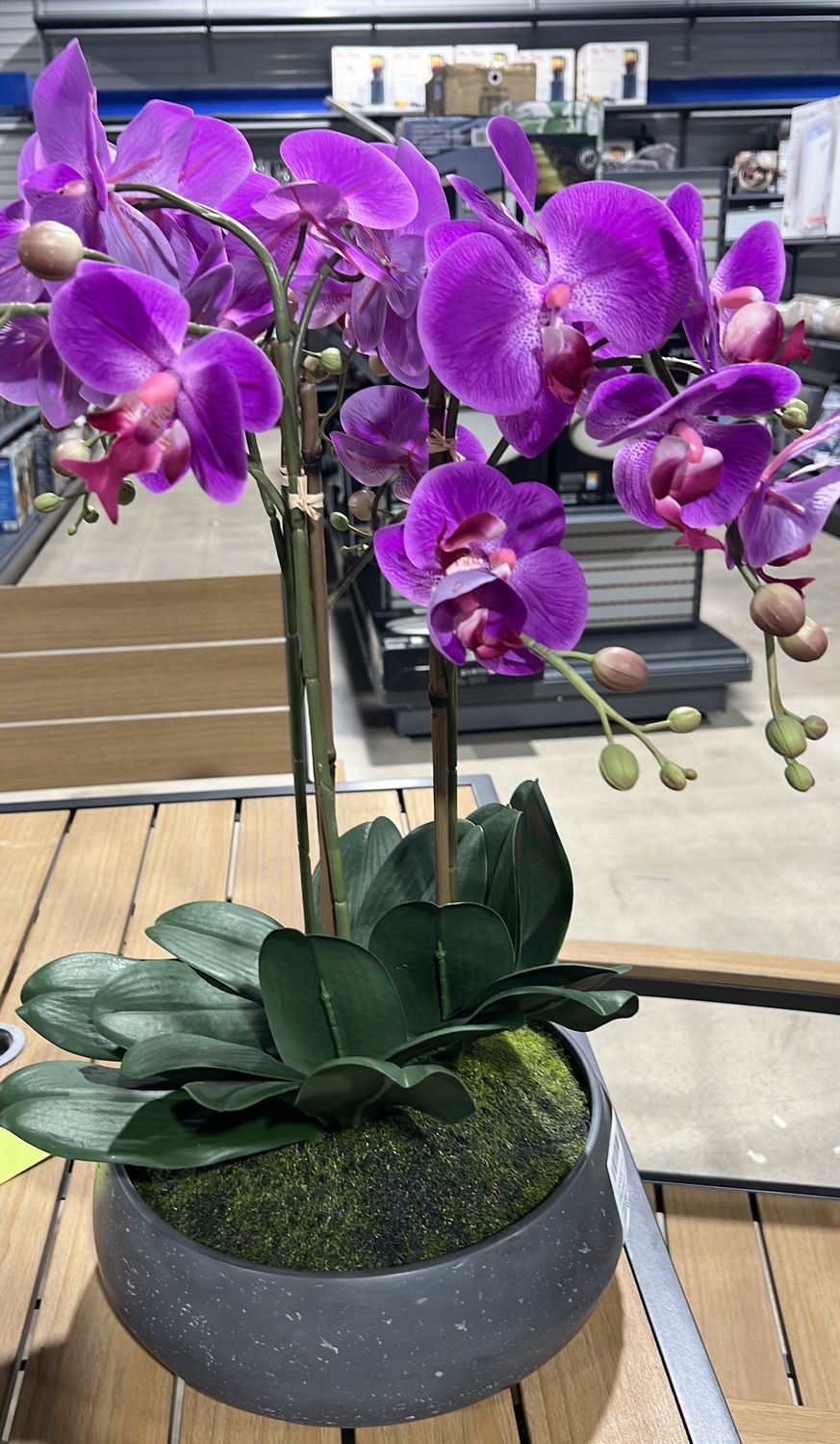 LARGE FAUX ORCHID | Premium Seasonal &amp; Home Collection | Home Deals | 1812653