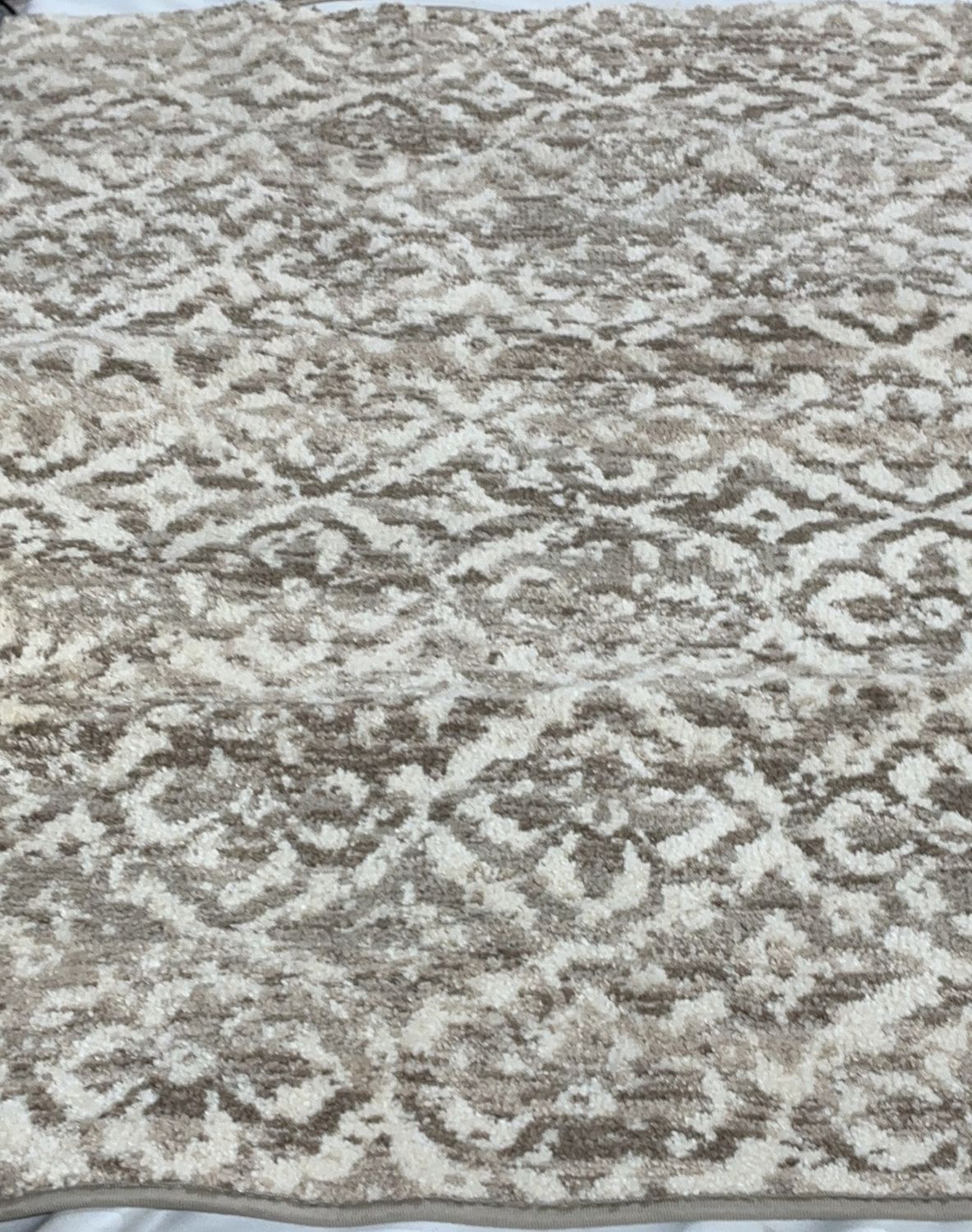 TAHARA ACCENT 30X46 RUG  Costco Item 1796294-Open Box