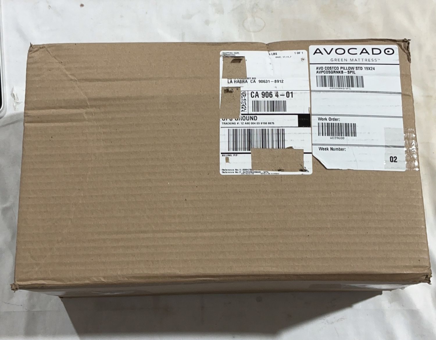 Premium AVOCADO PILLOW BRENTWOOD – Durable, Modern Design, High-Quality Construction | Model Standard Model | Item #1969788 | 148-OPEN BOX