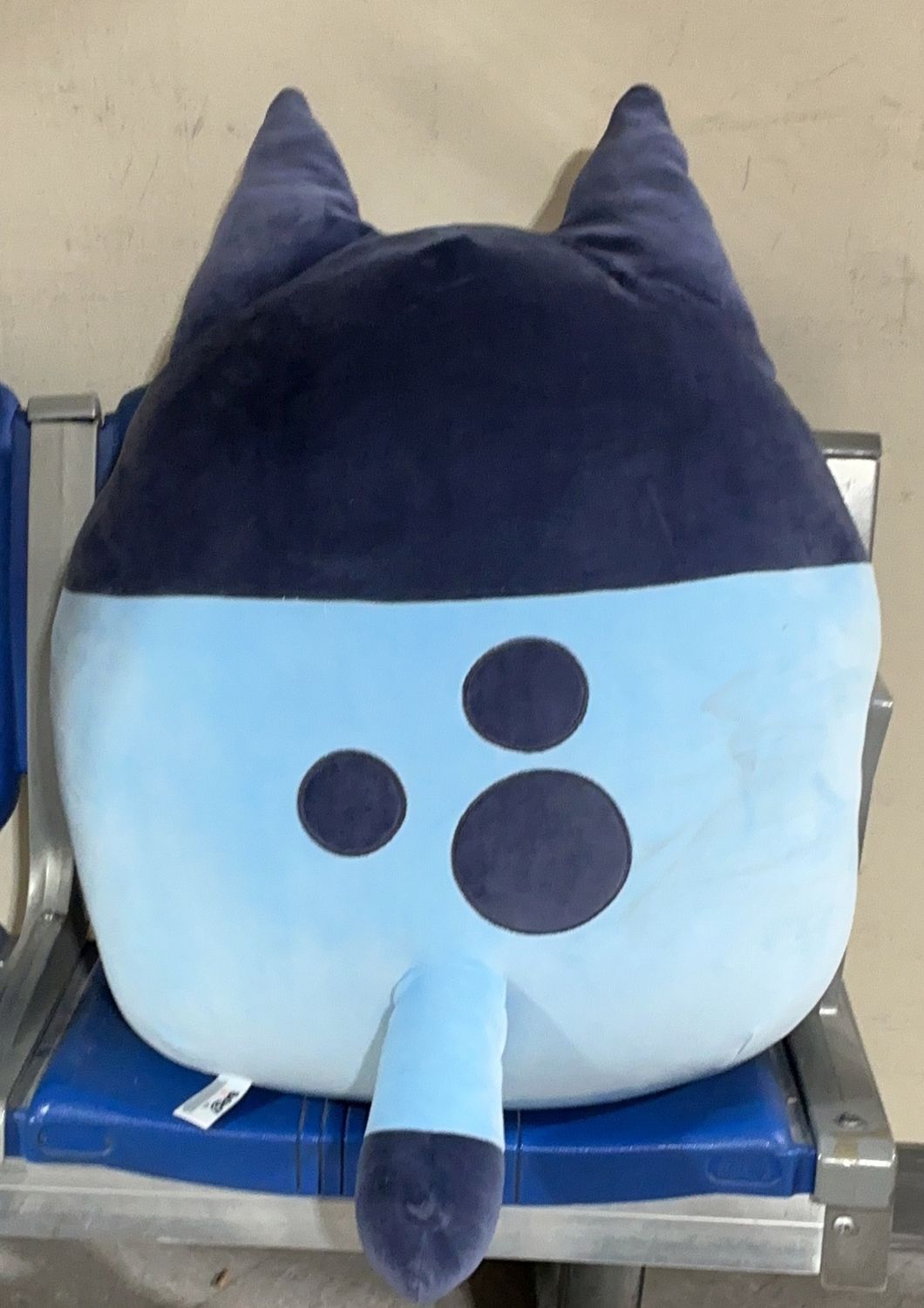 Premium 20" BLUEY SQUISHMALLOW – Durable, Modern Design, High-Quality Construction | Model Standard Model | Item #1851482 | 127-USED