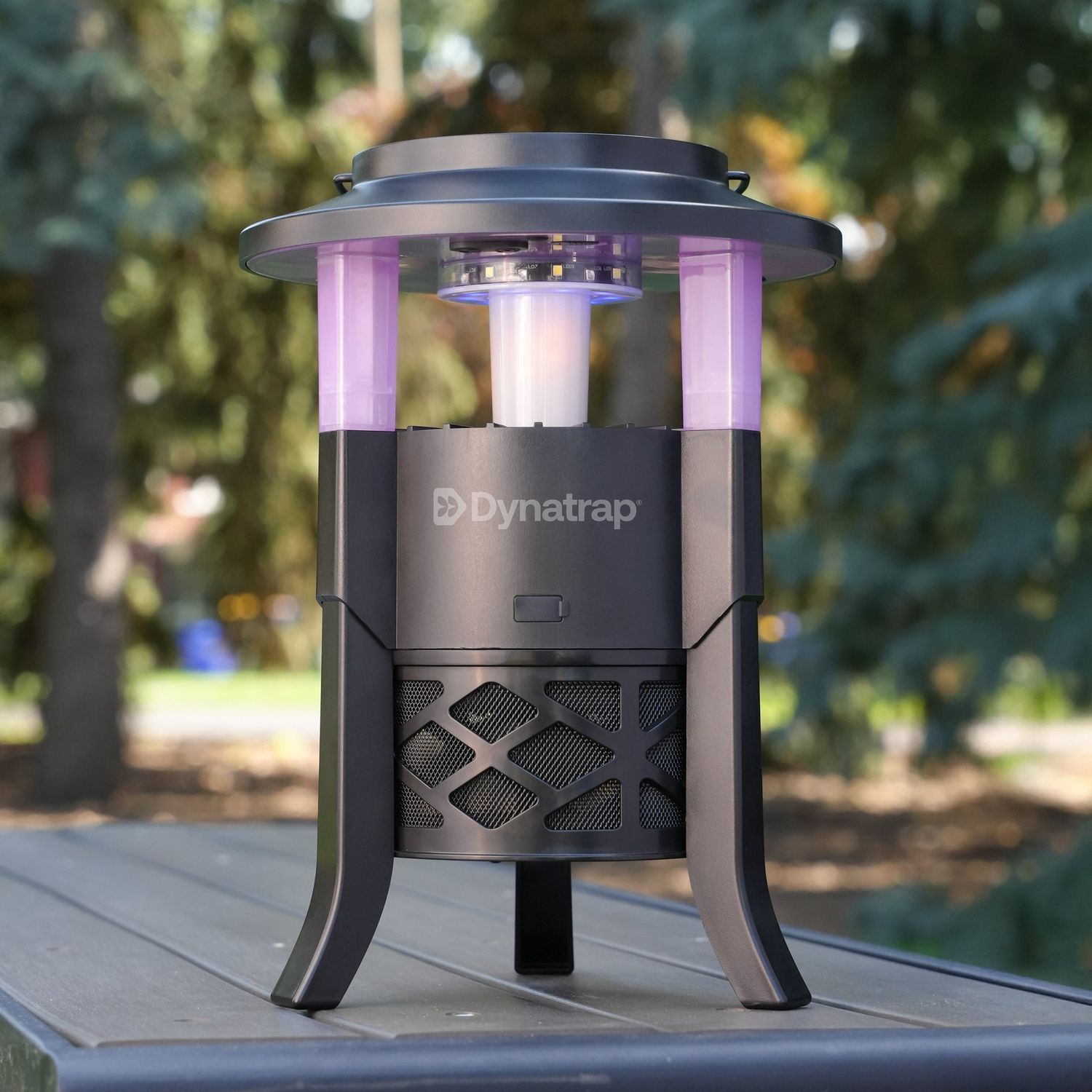 DYNATRAP INSECT TRAP 1/4 1934126 6695348