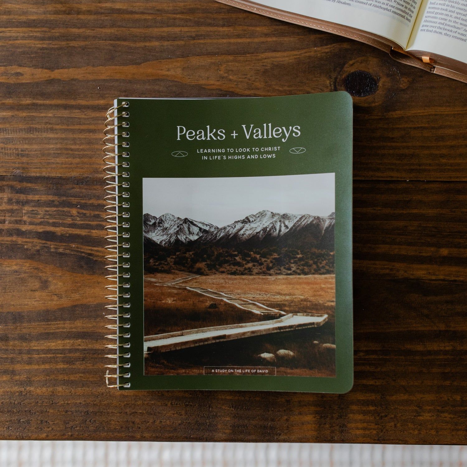 Peaks and Valleys:  A Study on the Life of David - Men