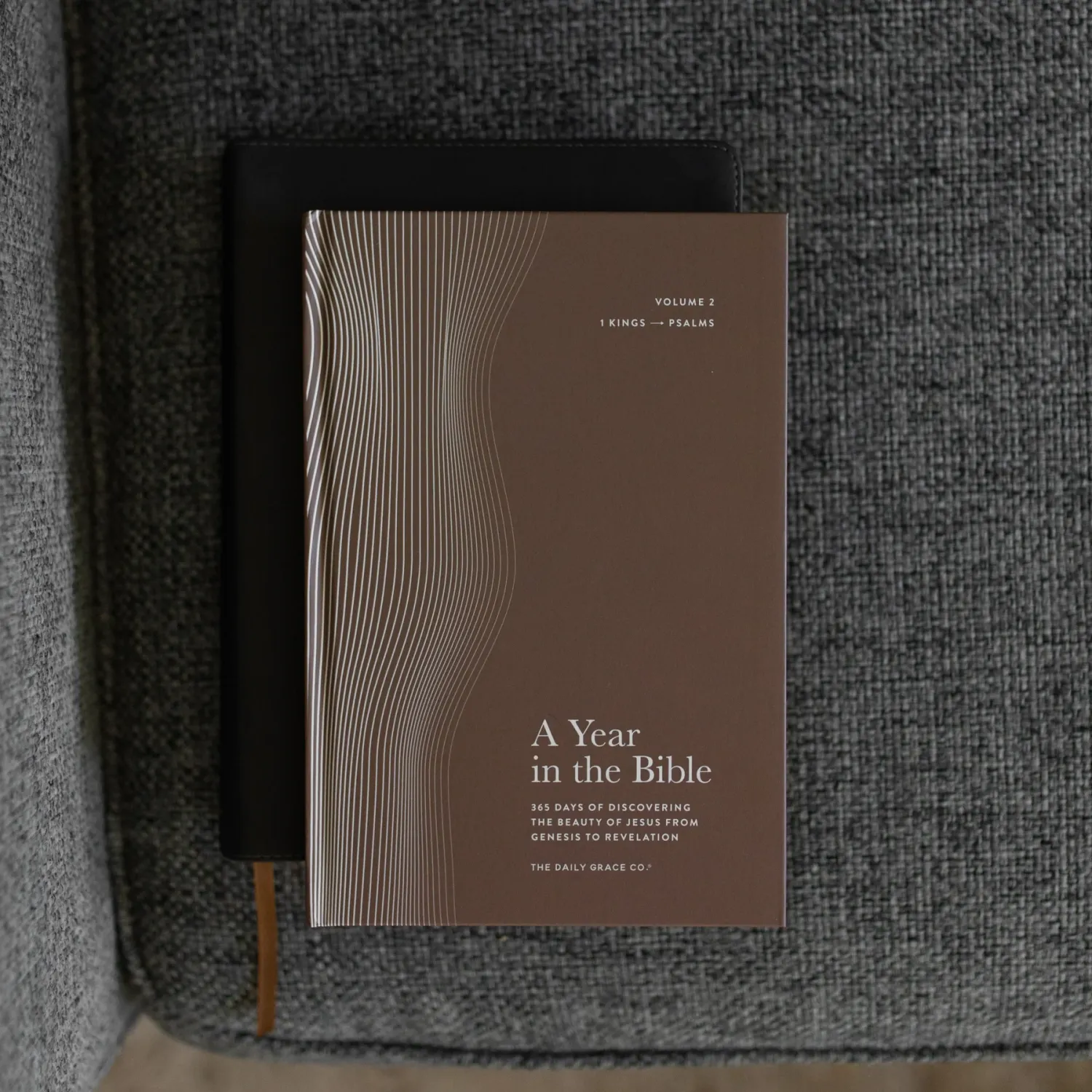 A Year in the Bible | Men's Study | Volume 2