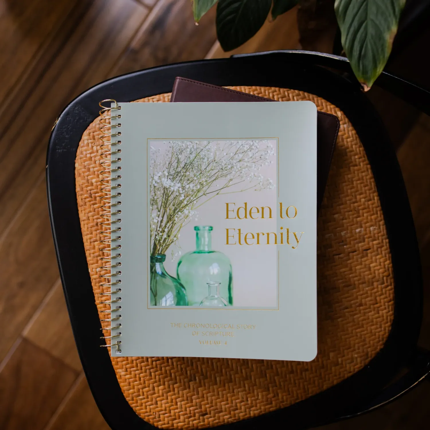 Eden to Eternity | The Chronological Story | Volume 4