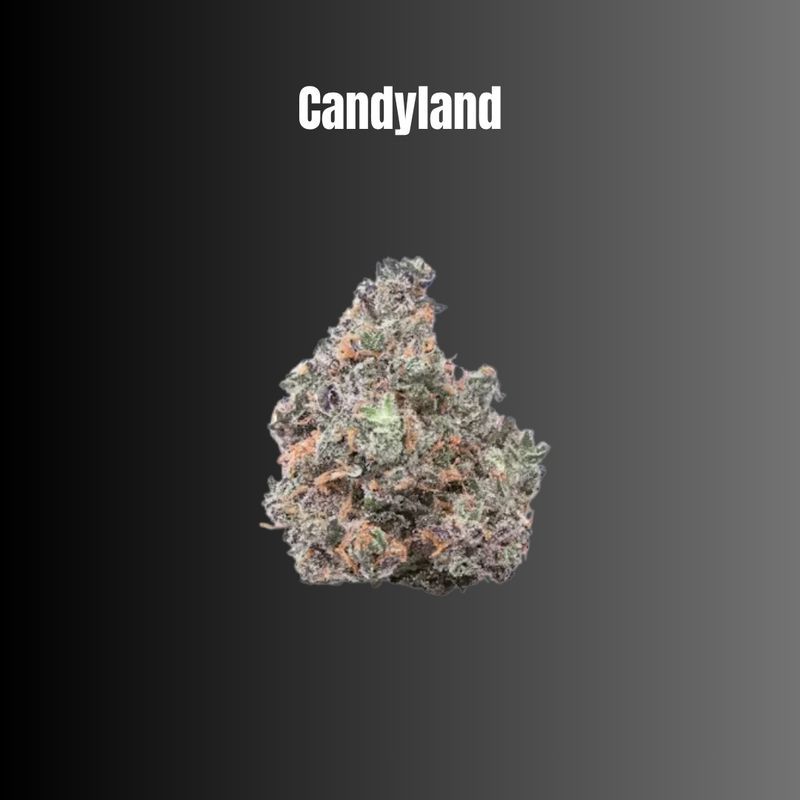 Candyland - Sativa Flower Candyland - Sativa Flower