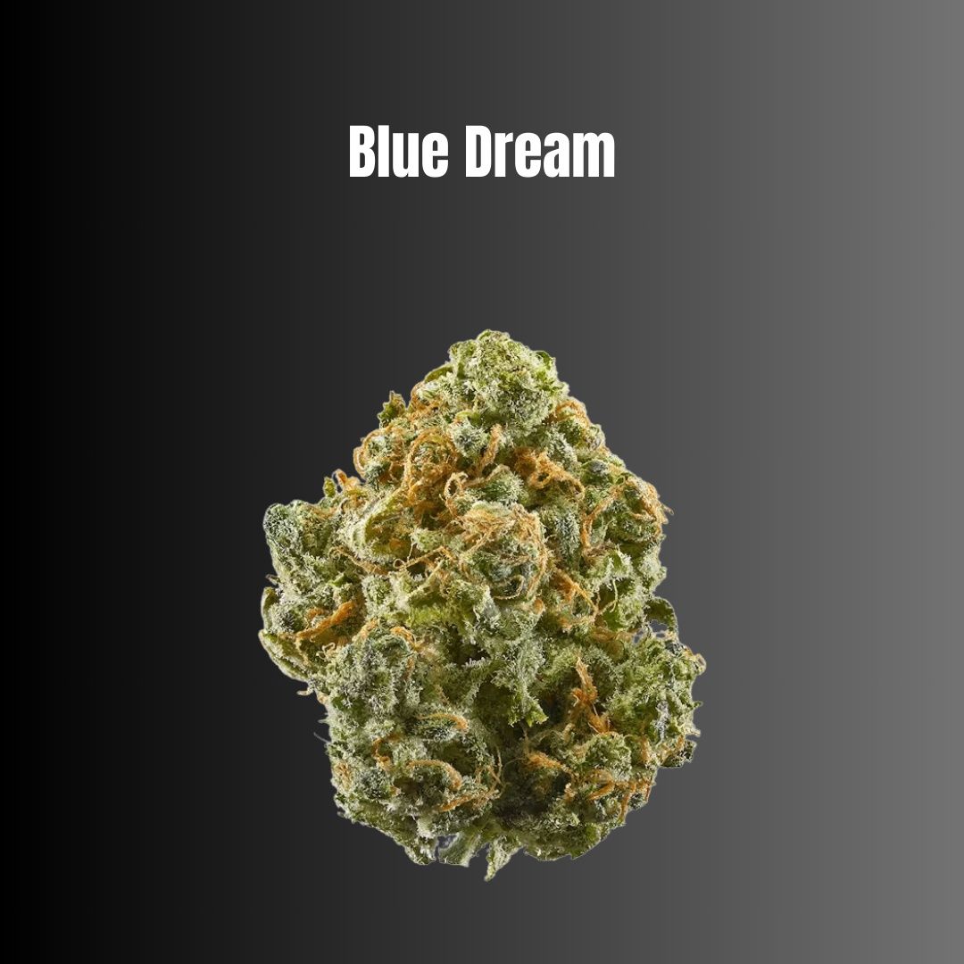 Blue Dream - Sativa Flower Blue Dream - Sativa Flower