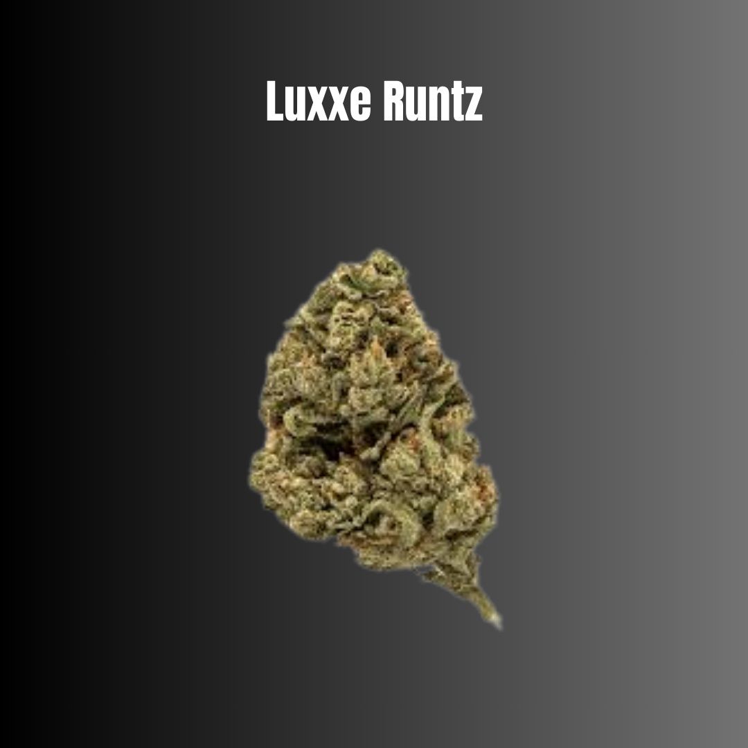 Luxxe Runtz - Hybrid Flower
