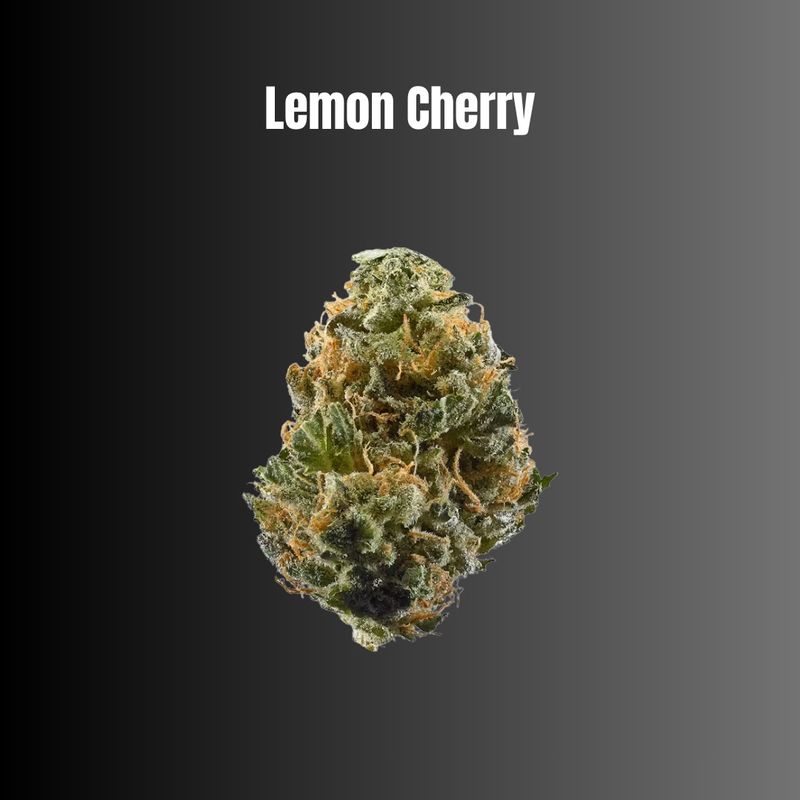 Lemon Cherry - Indica Flower Lemon Cherry - Indica Flower