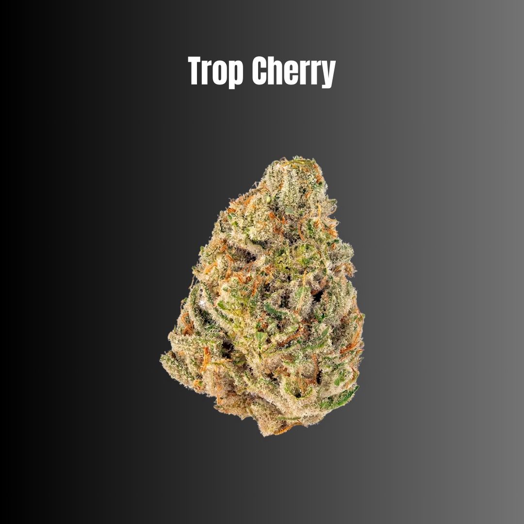 Trop Cherry - Sativa Flower Trop Cherry - Sativa Flower
