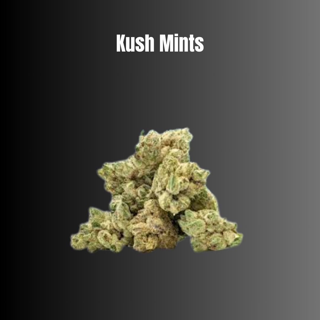 Kush Mintz - Sativa Flower Kush Mintz - Sativa Flower