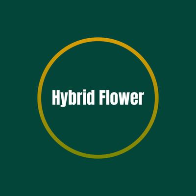 Hybrid Flower